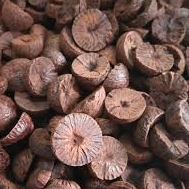 Sayapakku /சாயபாக்கு 250